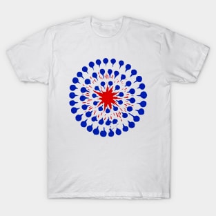 Fireworks 88b RWB T-Shirt